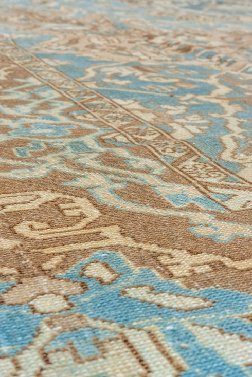 Vintage Baktiary Area Rug (9' x 12')
